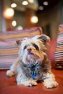 Radisson Hotel Duluth - Harborview