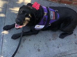 Wingate by Wyndham Beaver I-15