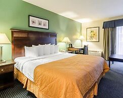 Rodeway Inn & Suites Williamsburg Central