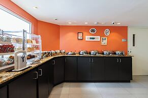 Condado Palm Inn San Juan, Tapestry Collection by Hilton