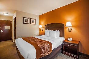 Comfort Inn & Suites Somerset - New Brunswick