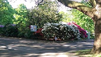 Congress Hotel Am Stadtpark