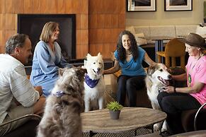 Sky Rock Sedona, a Tribute Portfolio Hotel