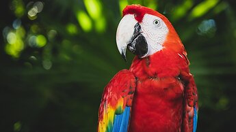 InterContinental Presidente Cancun Resort by IHG