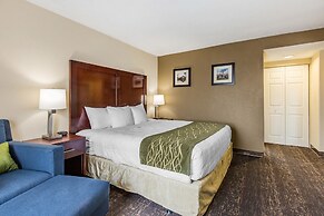 Comfort Inn College Park North