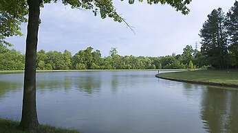 DoubleTree Suites by Hilton Raleigh - Durham