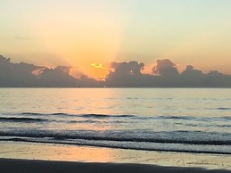 Lazy Lizard Motor Inn