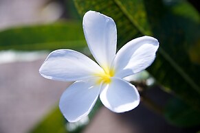 Lazy Lizard Motor Inn