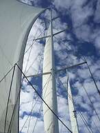 Lazy Lizard Motor Inn