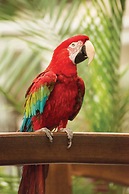 Quality Inn Oceanfront