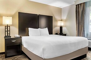 Best Western Okemos/East Lansing Hotel & Suites