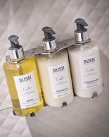 Bush Hotel Farnham