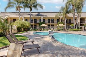 Best Western Plus South Coast Inn