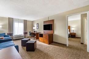 Comfort Inn & Suites St. Pete - Clearwater International Airport