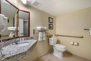 Comfort Inn & Suites St. Pete - Clearwater International Airport