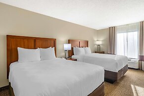 Comfort Inn & Suites St. Pete - Clearwater International Airport