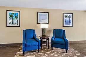 Comfort Inn & Suites St. Pete - Clearwater International Airport
