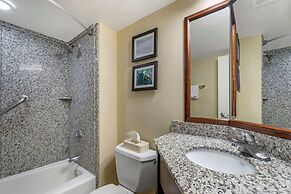 Comfort Inn & Suites St. Pete - Clearwater International Airport