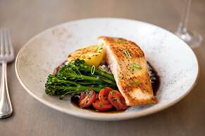 Embassy Suites by Hilton Tampa Airport Westshore