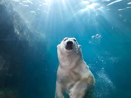 Best Western Plus Park Globetrotter Copenhagen Airport