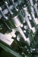 Hilton Reykjavik Nordica