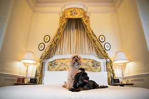 The Lanesborough, Oetker Collection