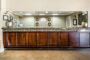 Comfort Suites Paradise Island