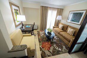 Comfort Suites Paradise Island