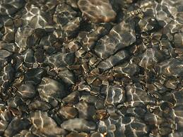 Fairmont Banff Springs