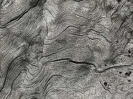 Fairmont Banff Springs