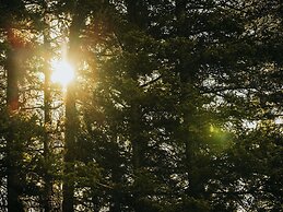 Fairmont Banff Springs