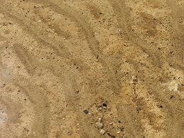 Fairmont Banff Springs