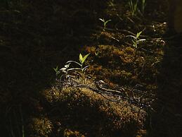 Fairmont Banff Springs