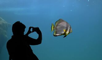 Holiday Inn Express Toronto - Downtown by IHG