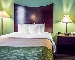 Quality Inn Mill Hall - Lamar