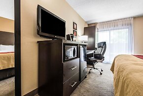 Comfort Inn Owen Sound
