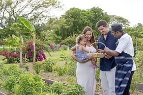 Sheraton Fiji Golf & Beach Resort