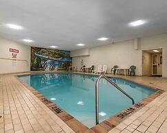 Quality Inn & Suites Bay Front
