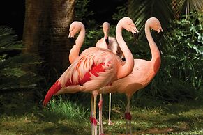 Flamingo Las Vegas Hotel & Casino