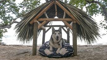 Baker's Cay Resort Key Largo, Curio Collection by Hilton