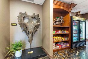 Best Western Denver Southwest
