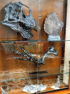 Best Western Denver Southwest