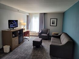 Comfort Inn & Suites Alexandria West