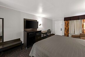 Best Western Executive Inn