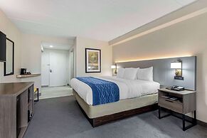 Comfort Inn Herndon - Reston