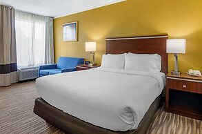Comfort Inn Roanoke Civic Center