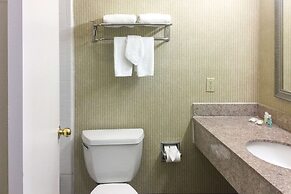 Quality Inn & Suites Oceanside near Camp Pendleton