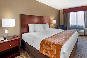 Comfort Inn Kelso - Longview