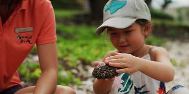 Four Seasons Resort Maui at Wailea