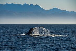 Staybridge Suites Oxnard River Ridge by IHG